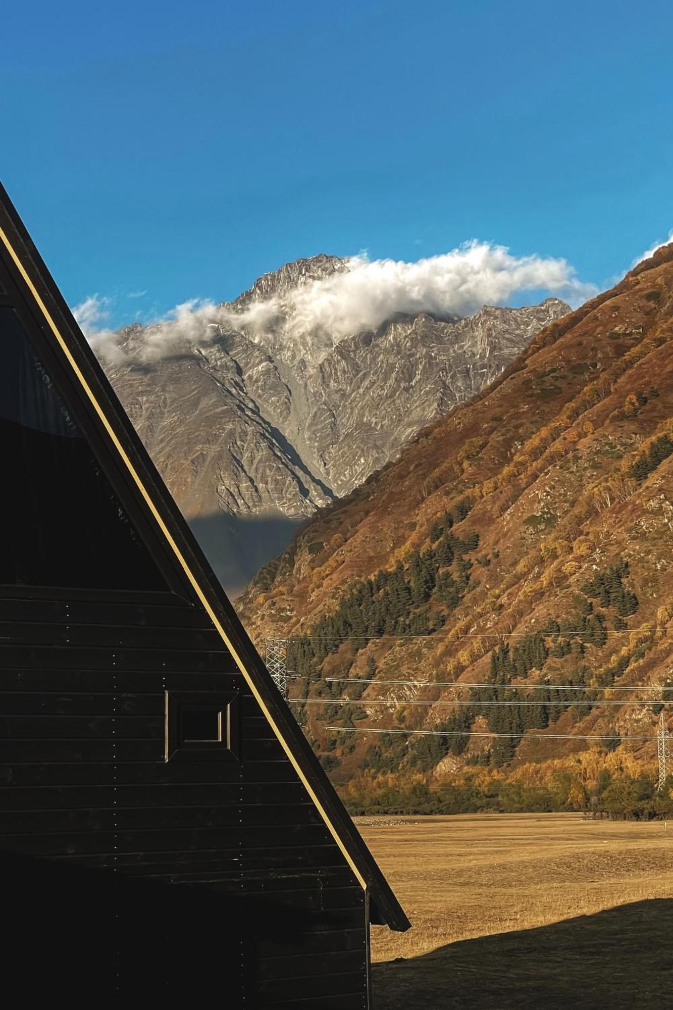 Wildwood Kazbegi Villa Ngoại thất bức ảnh